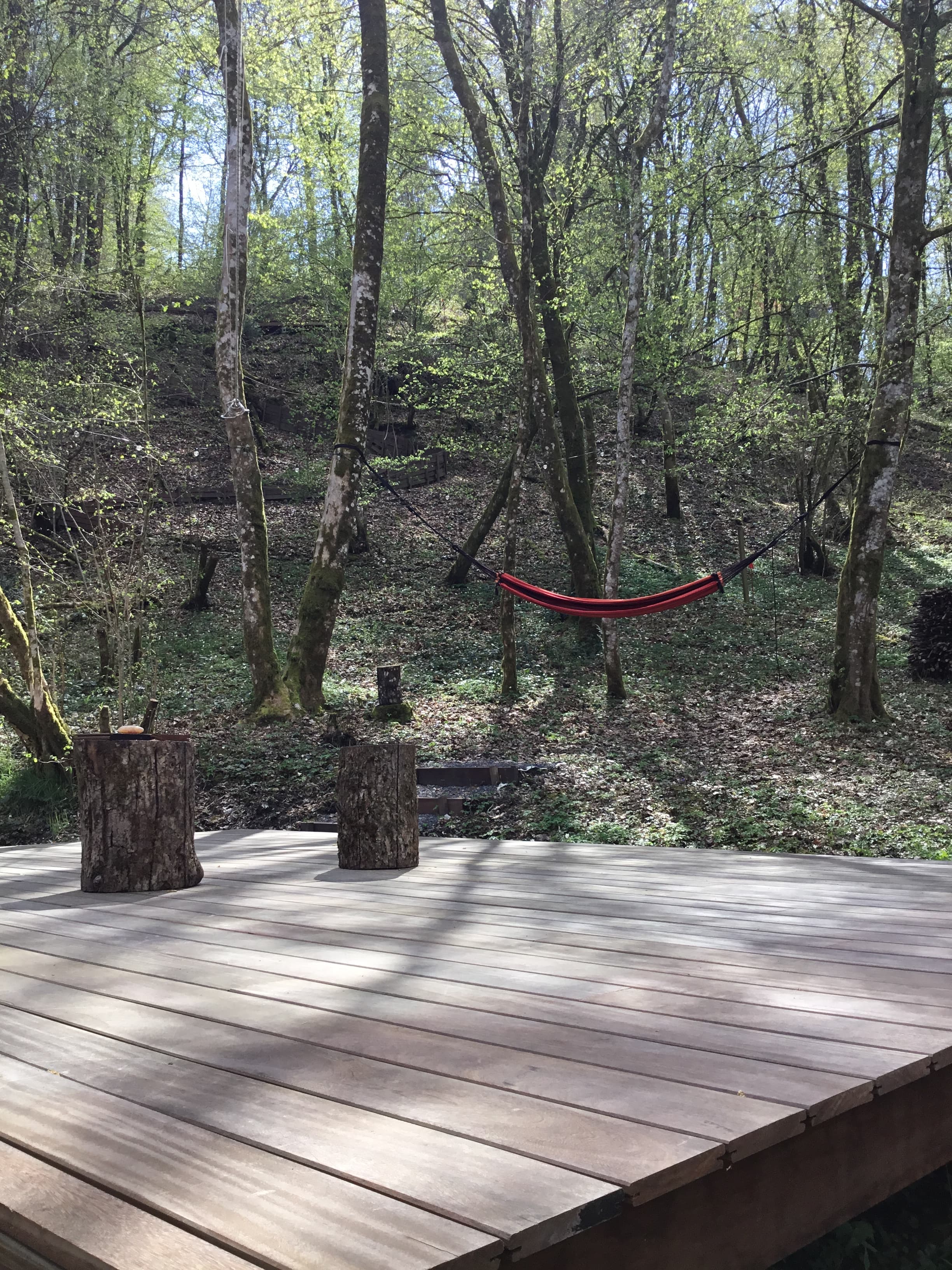 La halte de la charmeraie — photo 2