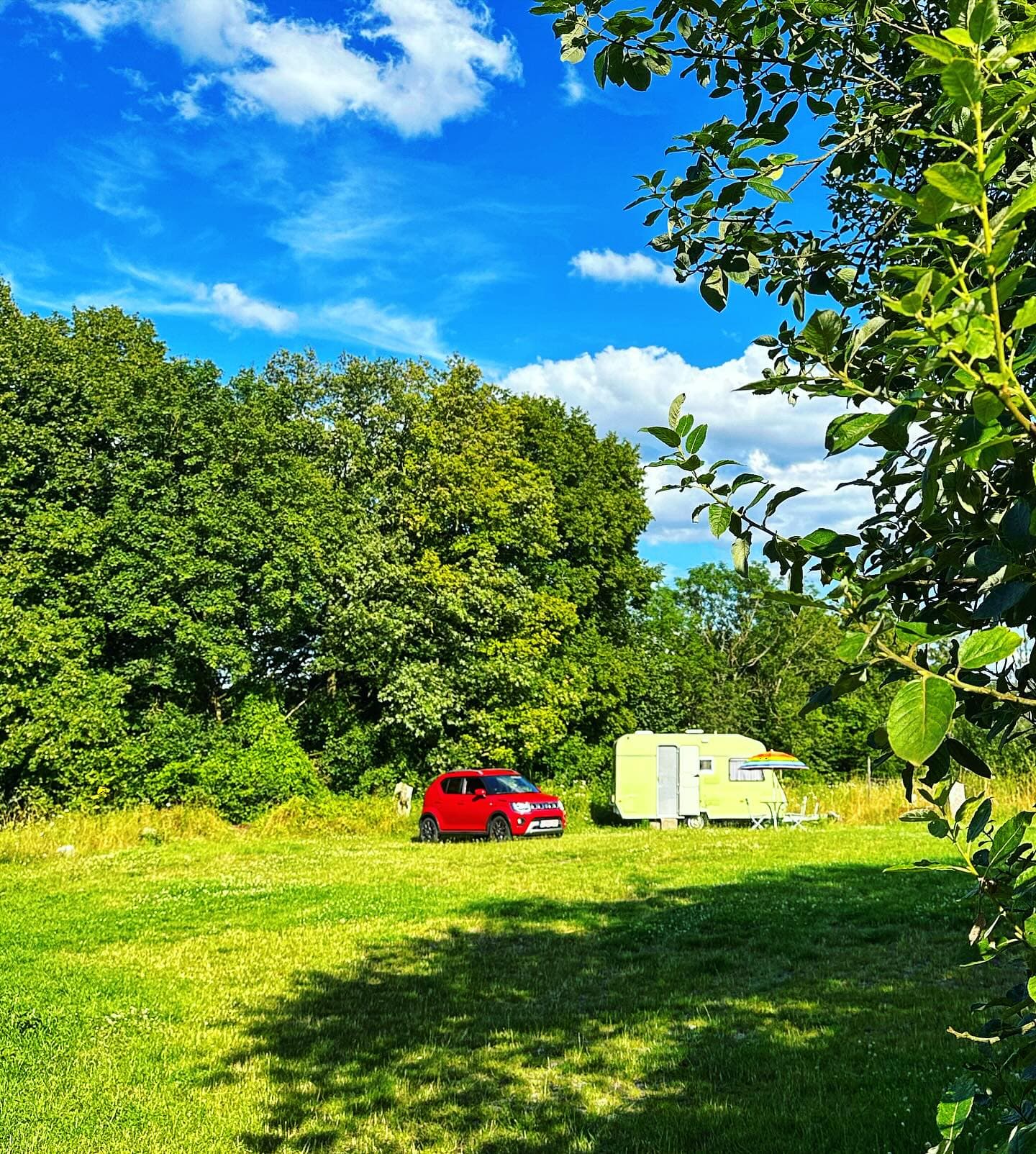 Le jardin des Ateliers Gerny